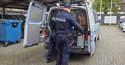 Policjanci zatrzymali osiem osób poszukiwanych